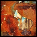 Rusty Flakes 1/3